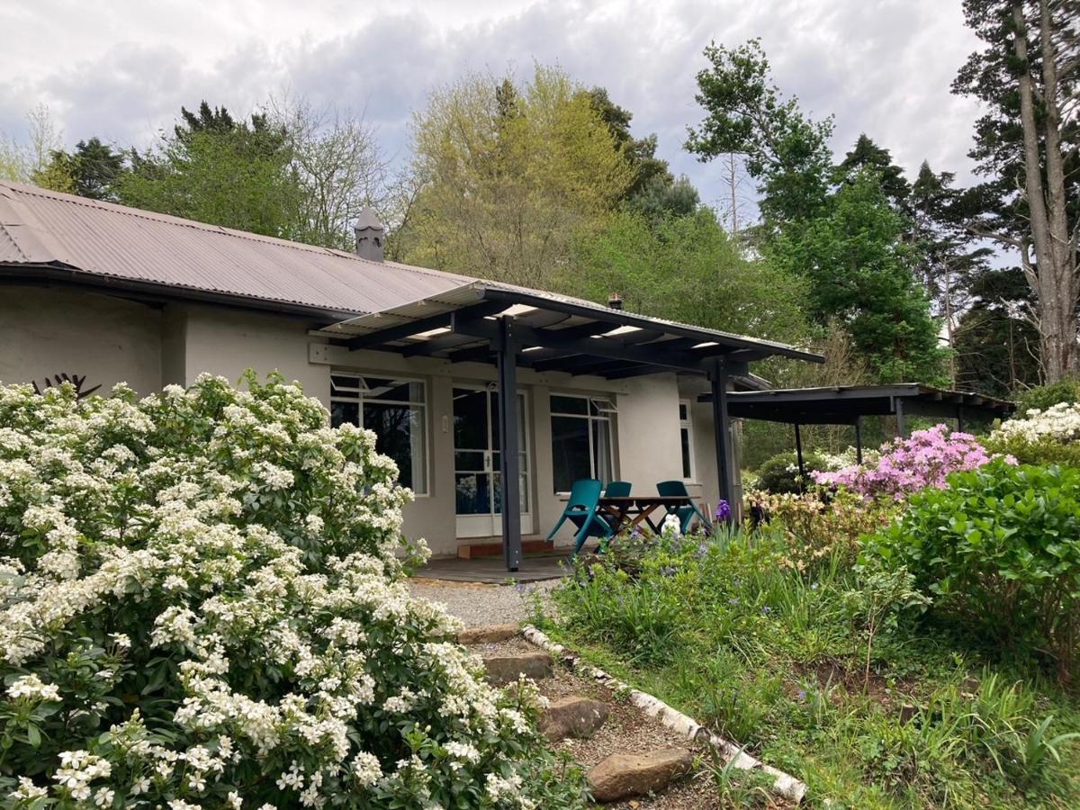 Bramber Cottage Hogsback Exterior foto