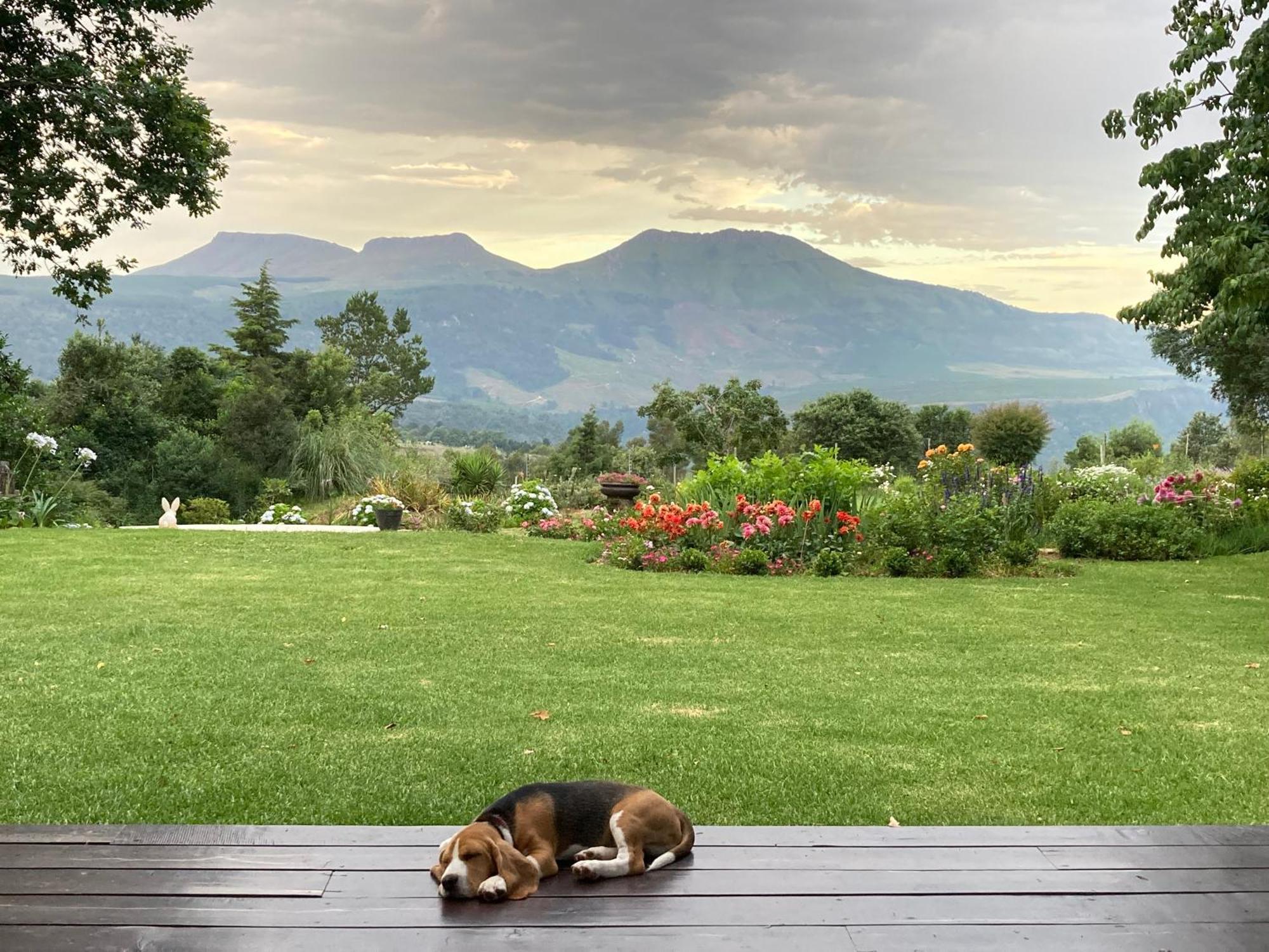 Bramber Cottage Hogsback Exterior foto