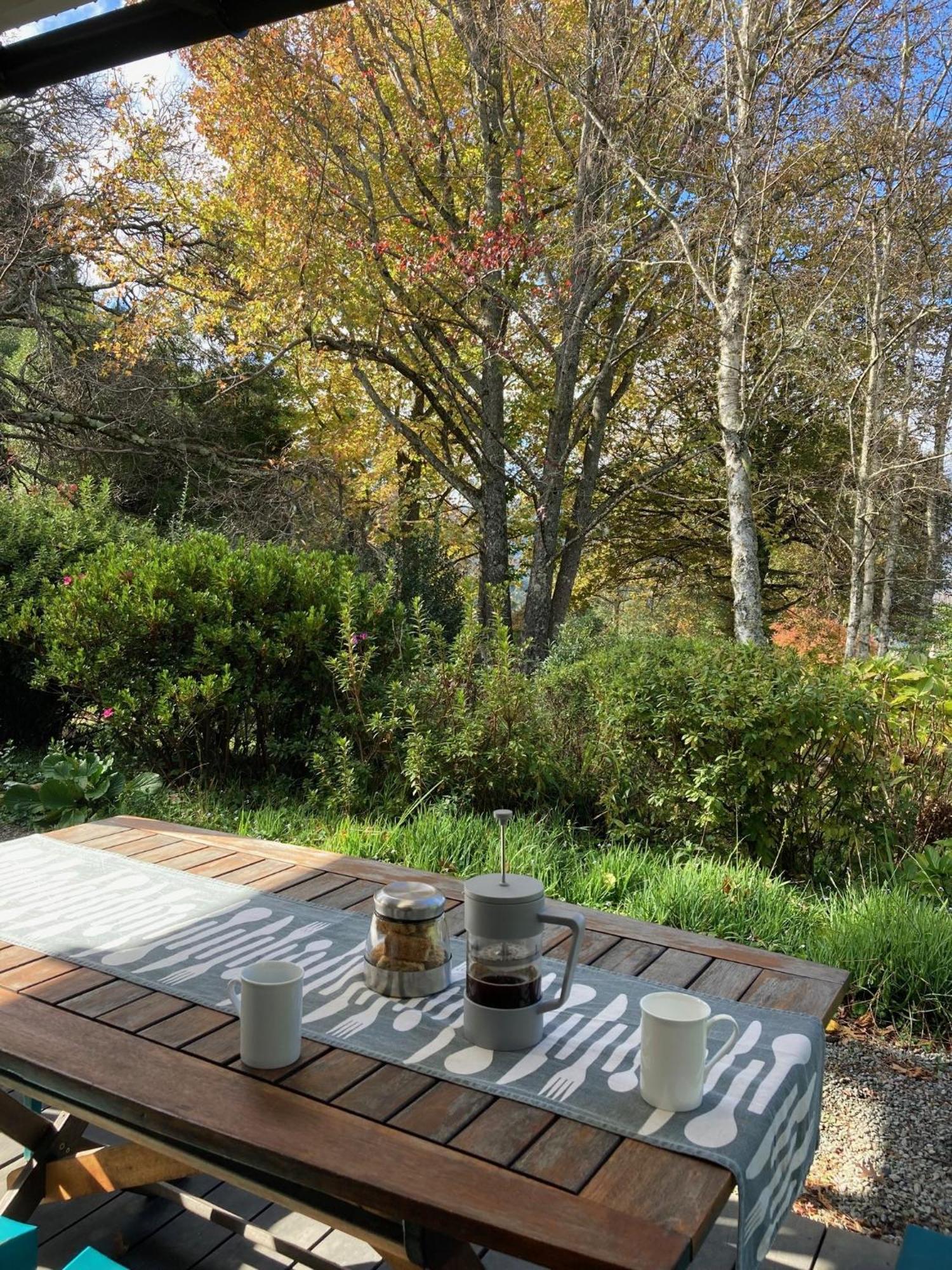 Bramber Cottage Hogsback Exterior foto